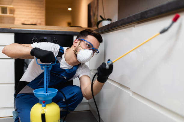 Trusted Sumner, IA Pest Control Experts