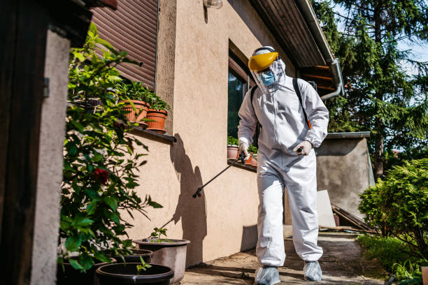 Best Termite Control Services  in Sumner, IA