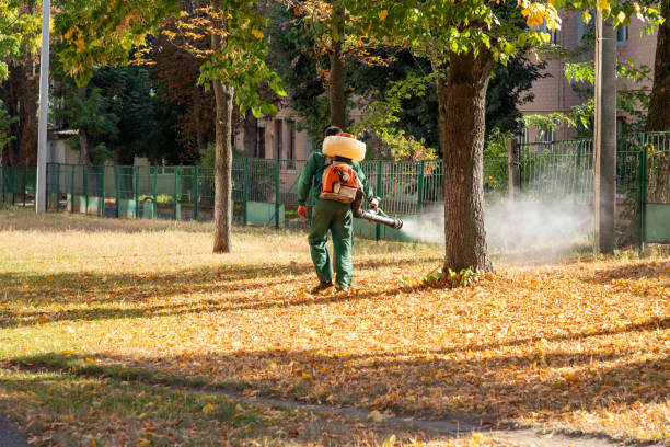 Best Insect Control  in Sumner, IA