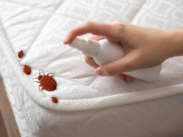 Best Best Pest Control Companies  in Sumner, IA