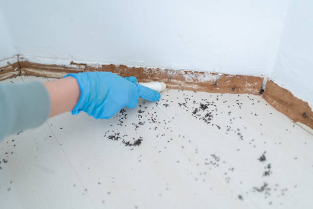 Best Pest Removal Services  in Sumner, IA