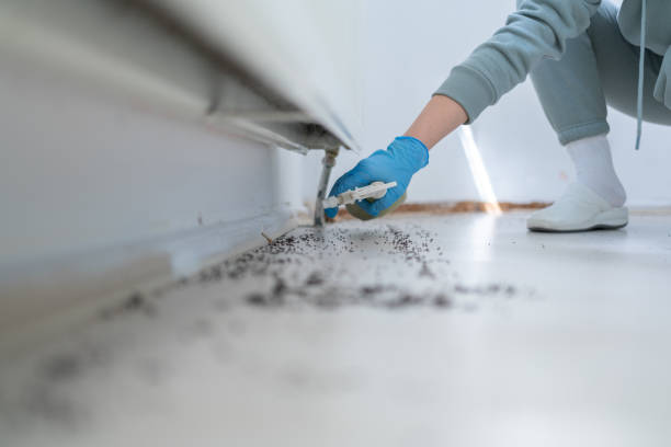 Best Cockroach Control Services  in Sumner, IA
